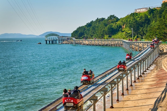 Ziptrek Korea (Daecheon)