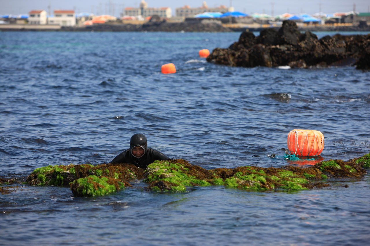Haenyeo (Jeju Women Divers)