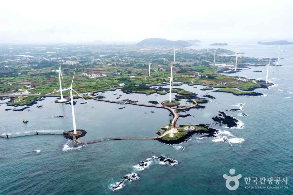 Sinchang Windmill Coastal Road